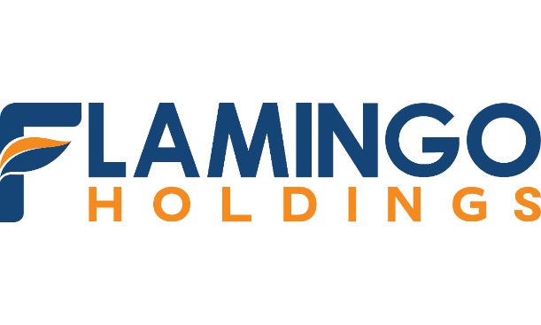 Flamingo Holding Group