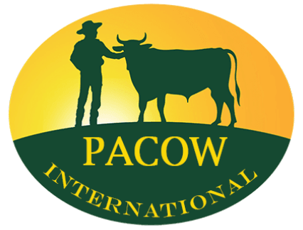 Công Ty TNHH Pacow International tuyển dụng - Tìm việc mới nhất, lương thưởng hấp dẫn.
