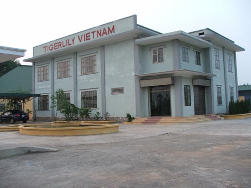 Công Ty TNHH Tigerlily Việt Nam