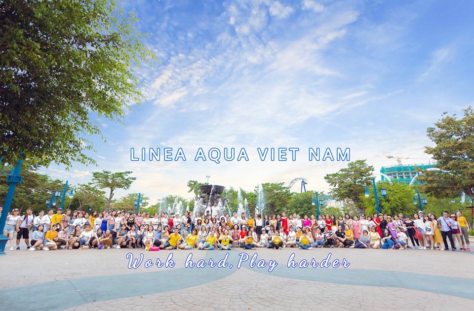 Linea Aqua Vietnam Company Limited (Lavn)