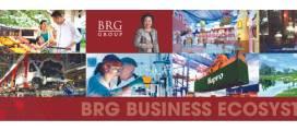 Tập Đoàn BRG (BRG Group) tuyển dụng - Tìm việc mới nhất, lương thưởng hấp dẫn.