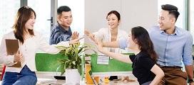 Taj Việt Nam tuyển dụng - Tìm việc mới nhất, lương thưởng hấp dẫn.