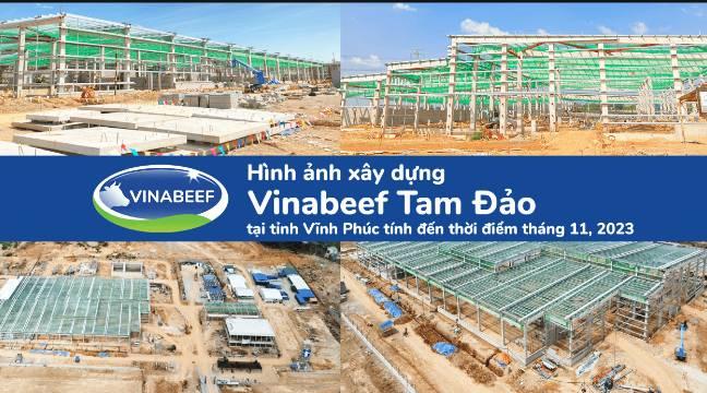 Công Ty TNHH Chăn Nuôi Việt Nhật - Công Ty Thành Viên Của Vinamilk