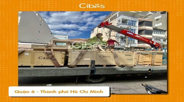 Công Ty TNHH Cibes Lift Việt Nam