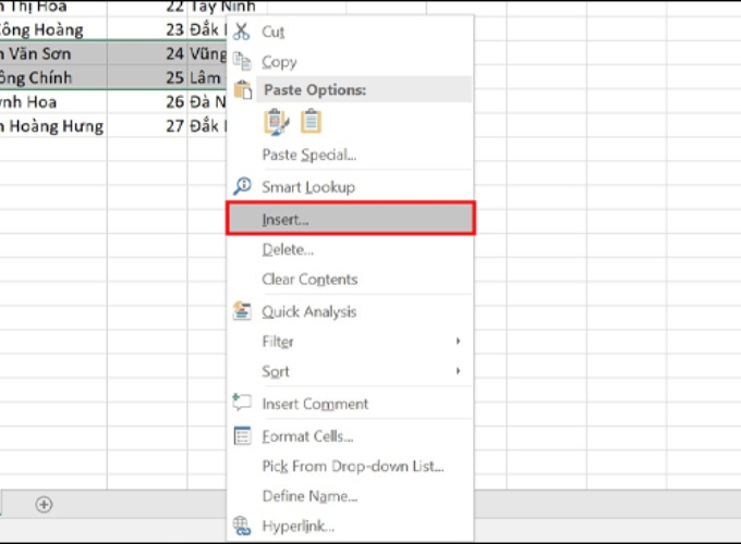 Thêm hàng trong Excel bằng công cụ Insert